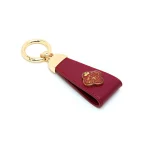 جاسوئیچی دلوین